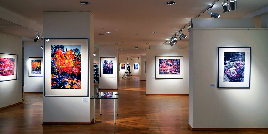 Фото 25 — Экспозиция художественных произведений