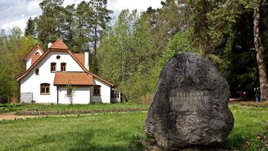 Photo of Музей В.Д. Поленова в Туле